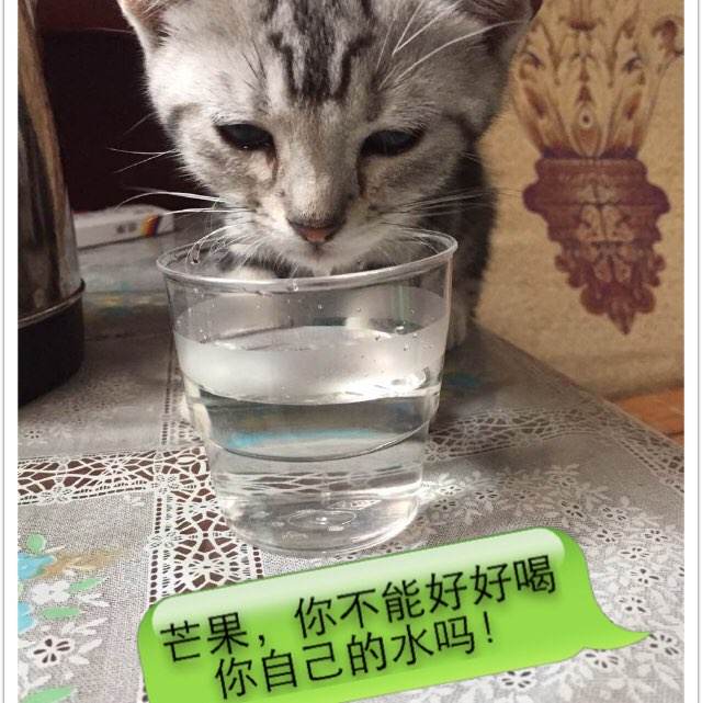 买个假克莱姆森大学文凭毕业证